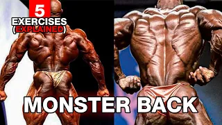 Your GUIDE To build Huge & wide back EXPLAINED