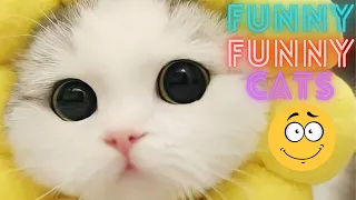 2 HOUR BEST FUNNY CATS COMPILATION 2023 😂| The Best Funny And Cute Cat Videos 4!😸 😸