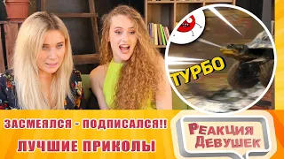 Реакция девушек - ЗАСМЕЯЛСЯ   ПОДПИСАЛСЯ! ЛУЧШИЕ ПРИКОЛЫ I 476 СЕКУНД СМЕХА. Реакция