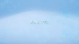 ARCTIC | 4K Timelapse