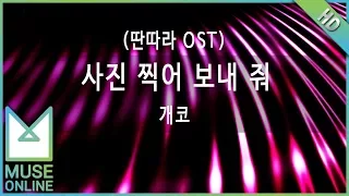 [뮤즈온라인] 개코 - 사진 찍어 보내 줘 (딴따라 OST)
