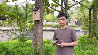 Long Range Wireless Bird Box Camera Review