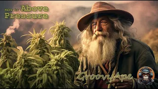 🥦🎅🏽Dub | Reggae 420 Gandalf Mix