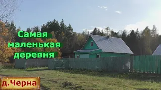 Самая маленькая деревня. Деревня в лесу. Уютная лесная деревенька в глубинке России. small village