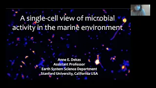 Anne Dekas (Stanford) "A single-cell view into microbial activity in the deep-sea"