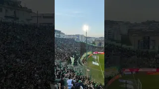 ΧΟΡΤΟ ΜΑΓΙΚΟ☘️ || ΠΑΟ-ΑΕΚ playoffs '23