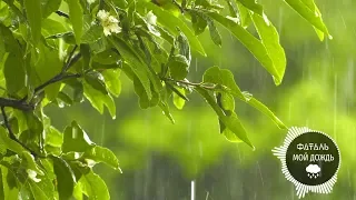 ФАТАЛЬ - Мой дождь (Official audio)