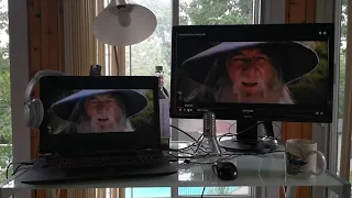 Gandalf Sax Guy Prank - Home Edition