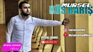 Mürsəl Səfərov — Küs Barış (2016)