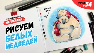 Как нарисовать белого медведя? / Видео-урок по рисованию маркерами для новичков #54