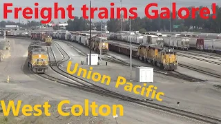 Trains Nonstop! Busy Morning at West Colton Yard