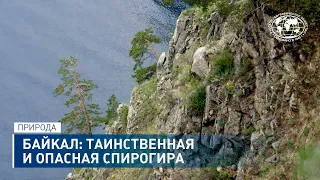 Байкал: таинственная и опасная спирогира