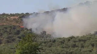 Ora News - Zjarri djeg 10 hektarë ullishte e vreshta në Lushnje