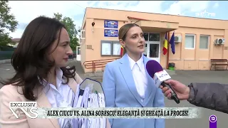 Alina Sorescu și Alex Ciucu, un nou proces pentru programul e vizită al celor două fiice