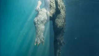 Giant Megalodon Eats Godzilla Original vs Remastered