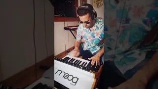 Moog Sub 25 - Unbreakable
