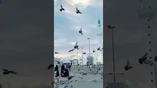 mashallah masjid Bilal Madina munawara 🤲 very nice video#shrot viral status WhatsApp#Nadeem salmani#