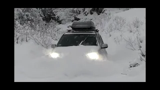 Mükemmel bir Performans... ToYoTa RAV4'ten Beklentiler Üstü Bir Kar Performansı