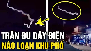 Trăn khổng lồ mắc dây điện rồi rơi xuống đất, hú hồn cảnh hàng chục người vây quanh bắt giữ