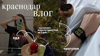 VLOG: Влог Краснодар/ путешествие в другой город / парк галицкого/