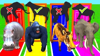 Choose Right Door Animals Wrong Shadow Matching Game with Cow Elephant Gorilla Buffalo Hippopotamus