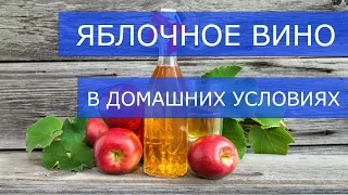 Как сделать яблочное вино. Яблочное вино в домашних условиях Вино из яблок рецепт (ЧАСТЬ 1)