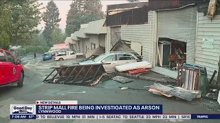 Strip mall fire in Lynnwood, Washington being investigated as arson | FOX 13 Seattle