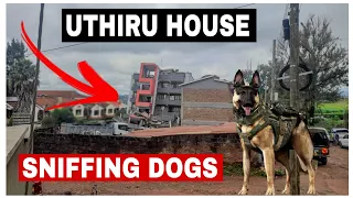 Sniffing Dogs on Site | Uthiru 5 Storey Building Collapse