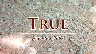 True - KARAOKE VERSION - as popularized by Spandau Ballet