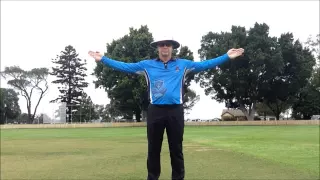 Cricket Umpire Signals - HD