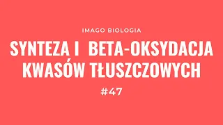 Synteza kwasów tłuszczowych i β-oksydacja