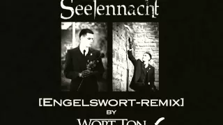 Seelennacht - In der Ferne (Engelswort Remix by WORT-TON)