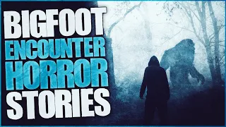 6 Scary Bigfoot Encounter Horror Stories