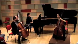 Gary Hoffman Master Class: Schumann Concerto, Mvt. 1