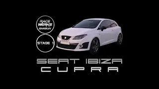 Seat Ibiza Cupra 100-200 km/h Hızlanma