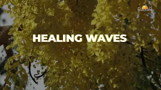 Music For Meditation | Healing Waves | Ancient Indian Music