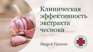 Клиническая эффективность экстракта чеснока