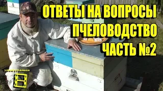 ПЧЕЛОВОДСТВО. №2 ОТВЕТЫ НА ВОПРОСЫ. ПРЯМЫЕ ТРАНСЛЯЦИИ