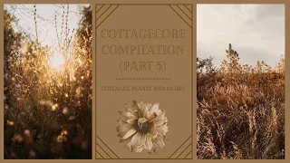 Cottagecore Compilation (Part 5)| Tiktok Compilations