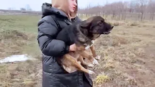 Left alone, trembling and in pain, he was happy when he was hugged and helped