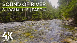 Soothing Sounds of a Forest River and Birds Chirping - 4K South Fork Snoqualmie River - Part 4