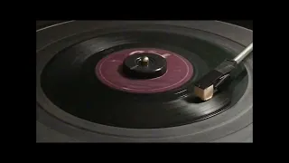 The Beach Boys ~ "Medley" vinyl 45 rpm (1981)