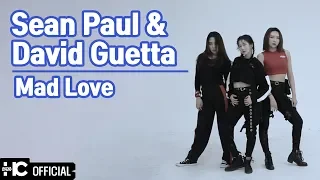 Sean Paul & David Guetta - "Mad Love"