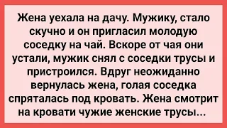 Мужик Привел Соседку, пока Жена на Даче! Сборник Свежих Смешных Жизненных Анекдотов!