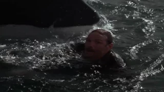 Free Willy 3 - Willy's Humanity