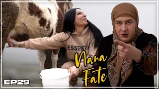 Nana Fate - Nusja te Lopt - Episoda 44 - Sezona 2