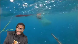 6 Shark Encounters You Won't Believe Happened REACTION!!!!