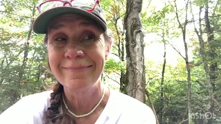 Hiking the 900 Episode 3 Finley Cane Tr ,Bote mtn , Lead cove