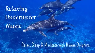 Relaxing Underwater Music - Relax, Sleep & Meditate with Hawaii Dolphins