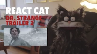 React Cat - Dr. Strange Trailer 2